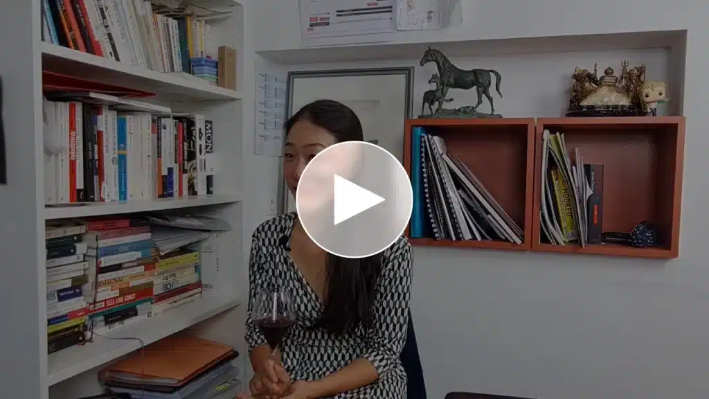 miniature vidéo embed bibimpop2